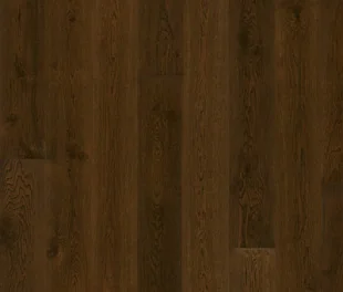 Дуб Сепия